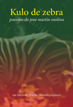 portada-kulo-de-zebra-2